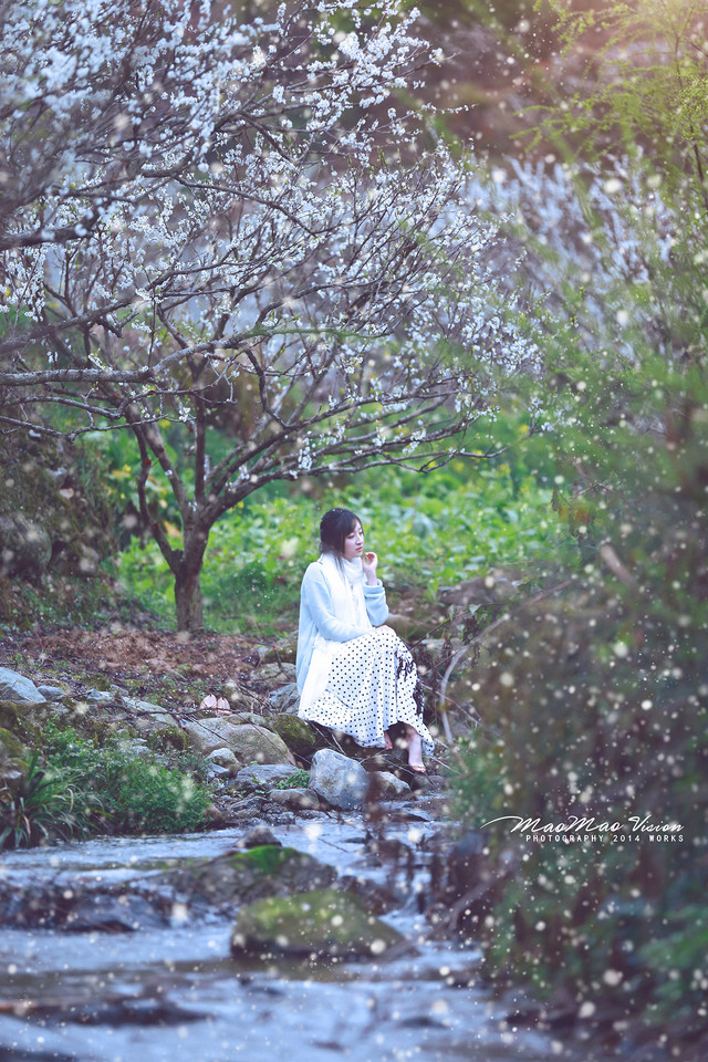 梨花下清新唯美图