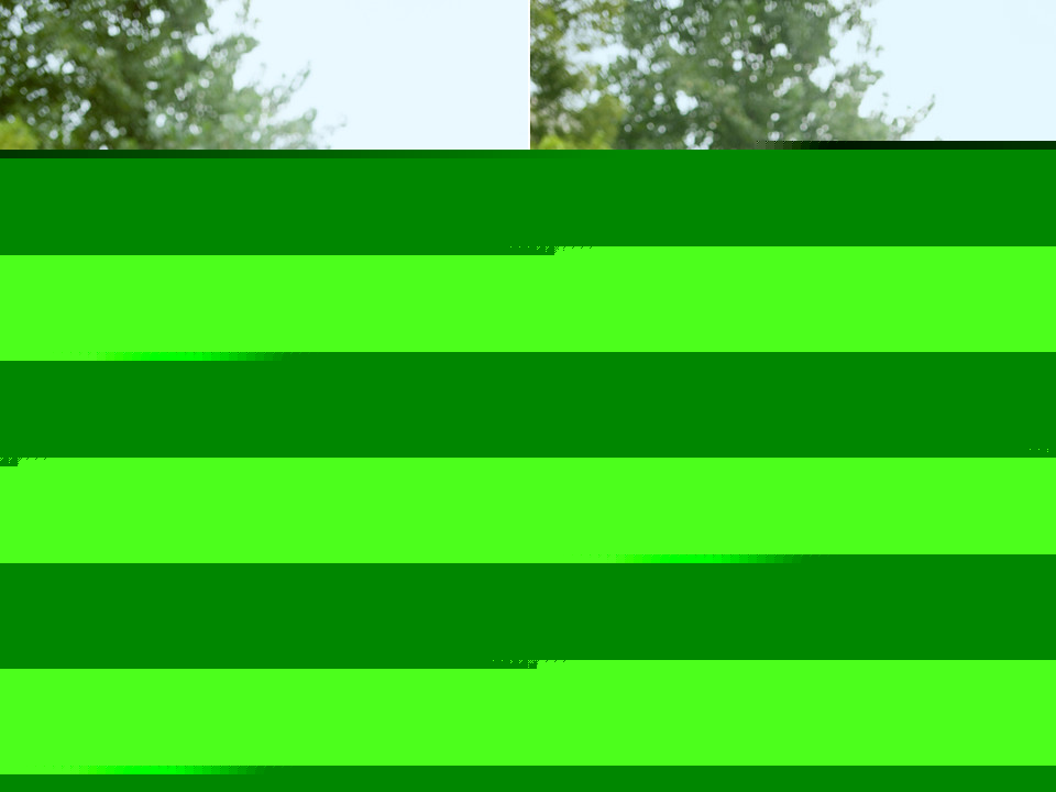 记忆中无法忘怀的深夏西瓜节