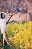 花圃中的白裙女子唯美图