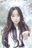 樱花飞舞下长发美女清纯图