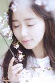 樱花飞舞下长发美女清纯图