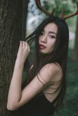 麋鹿女子森林唯美清纯图